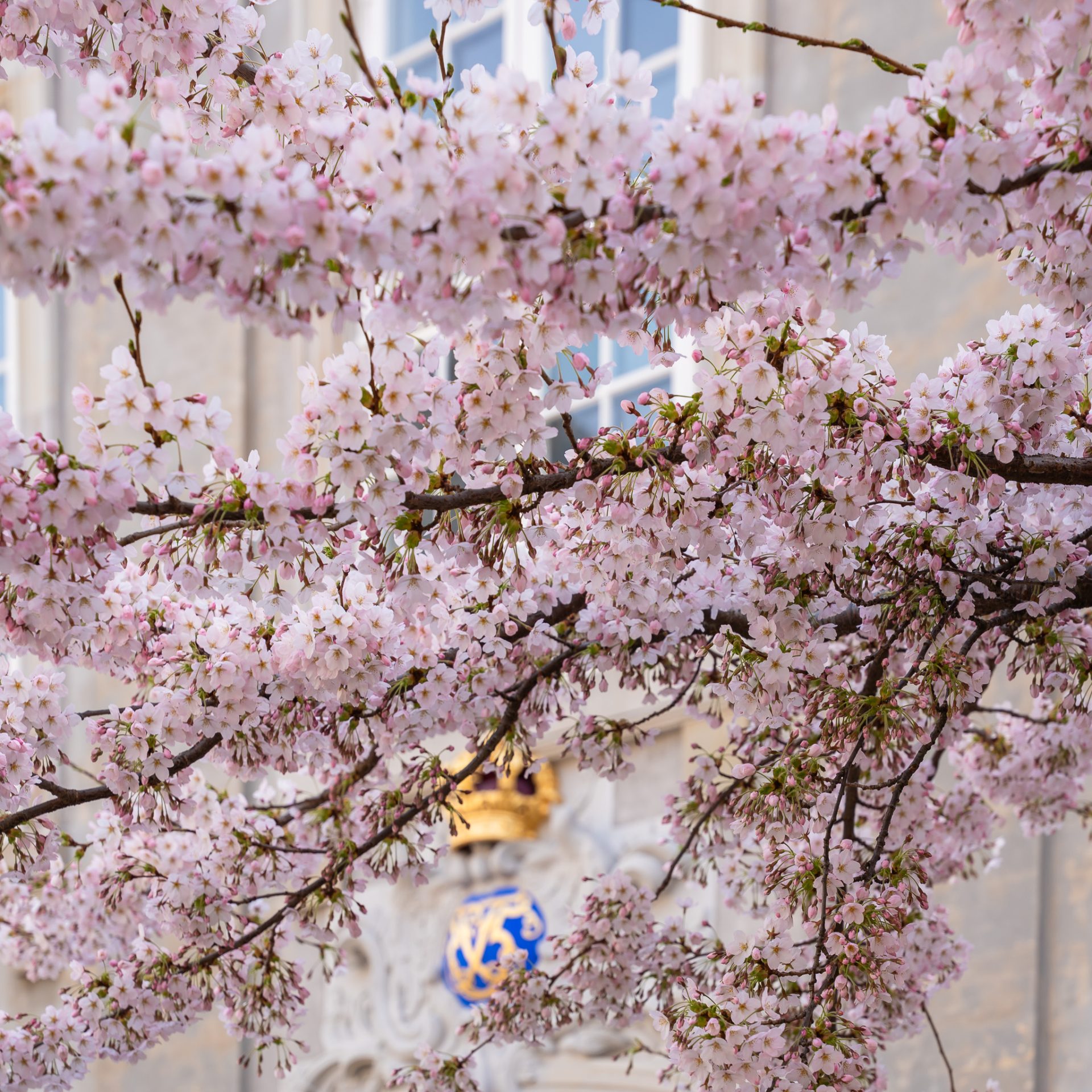 EASTER AT DESIGNMUSEUM DANMARK - Design Museum Denmark